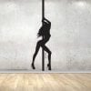 Wallsticker ipole - pole dance 6 4